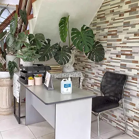 The Veehive Guesthouse