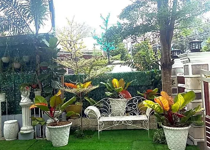 Hotel The Veehive 5*