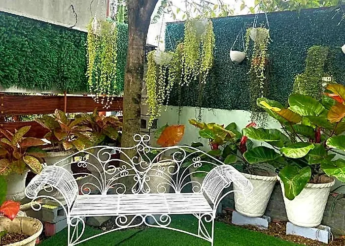 The Veehive Hotel 5*