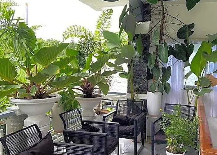 The Veehive Hotel Cebu