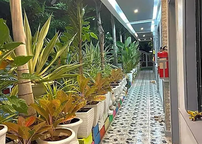 Hotel The Veehive